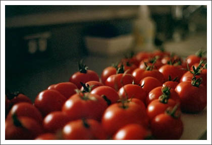 lots_of_tomatoes.jpg