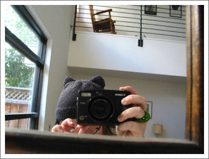 kittyville_hat.jpg