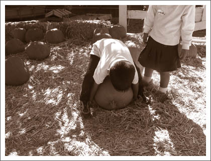 pumpkin_pick-up.jpg