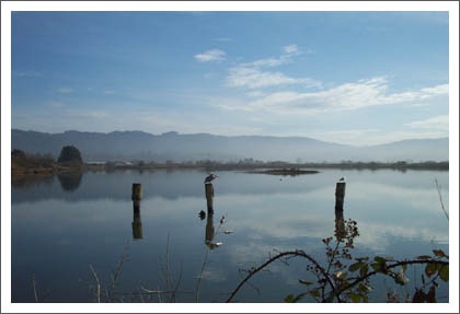 bird sanctuary