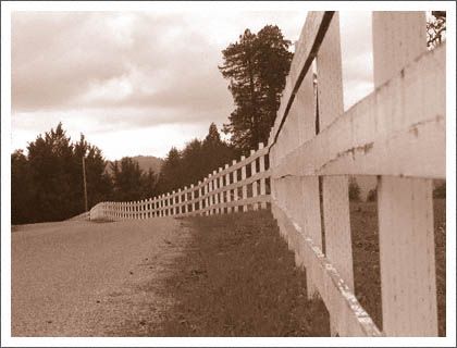 white_fence.jpg